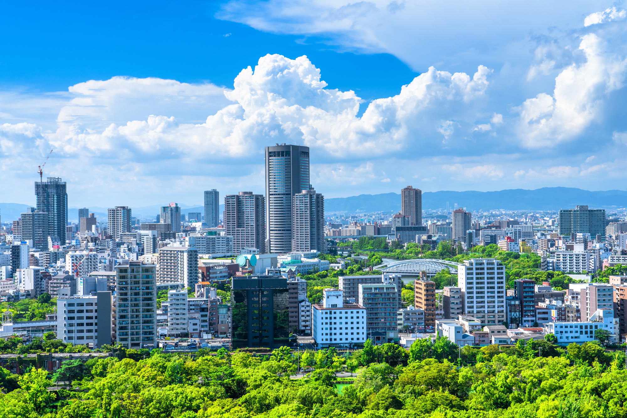 【大阪欄間】古き日本家屋と現代建築に宿った匠の技【大阪府 大阪市】