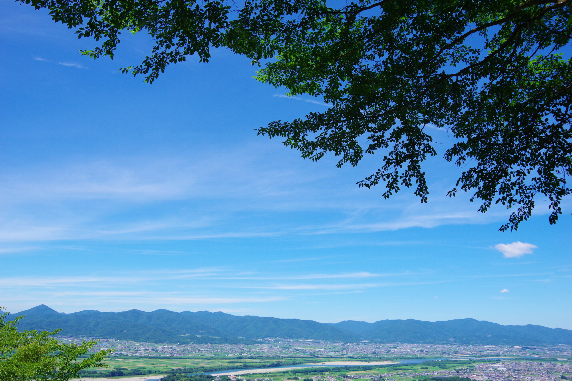 【阿波和紙】残された一軒が伝統と時代を繋ぐ【徳島県 吉野川市】