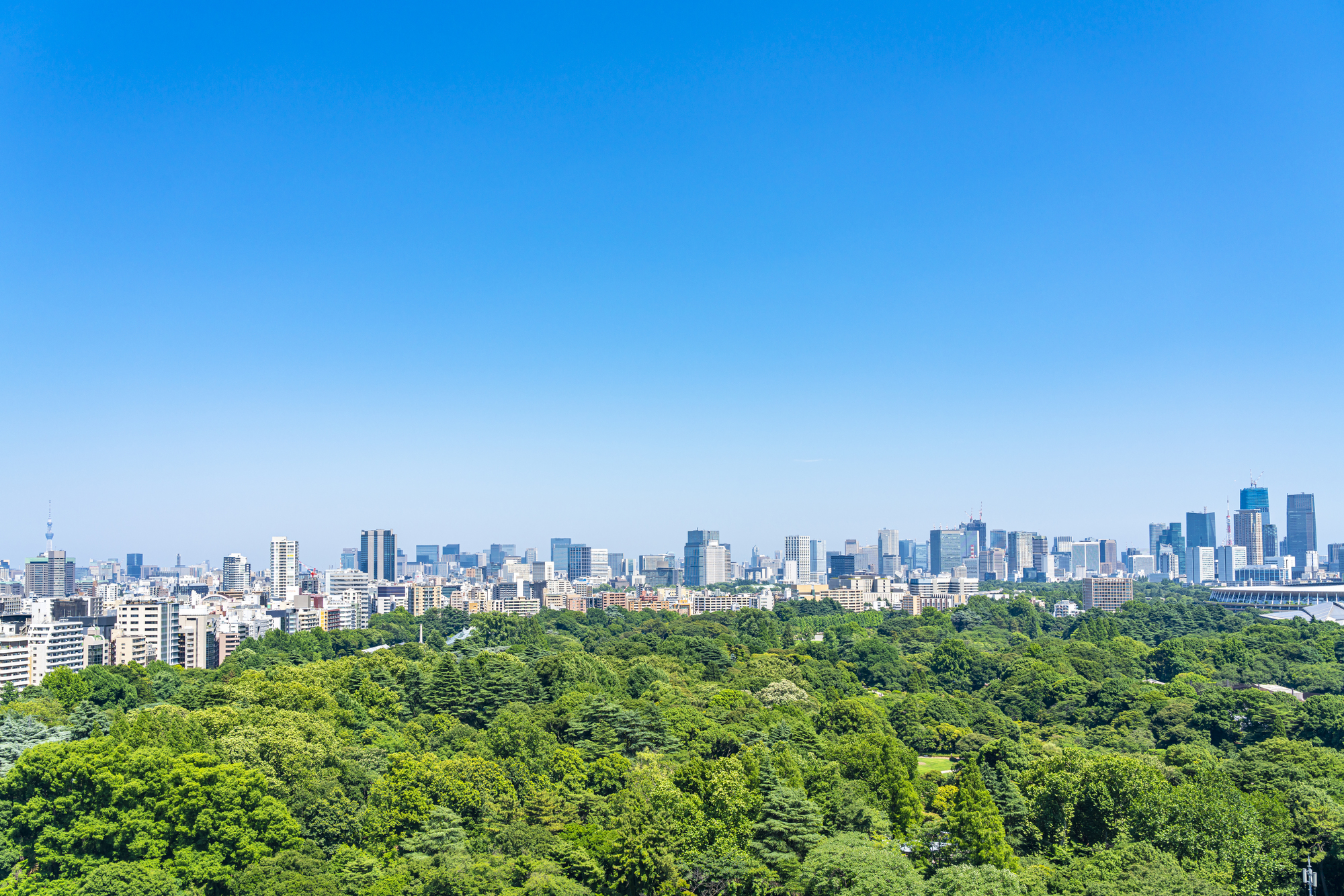 【東京染小紋】江戸と現代の美意識が融合した精緻の染色【東京都 新宿区】