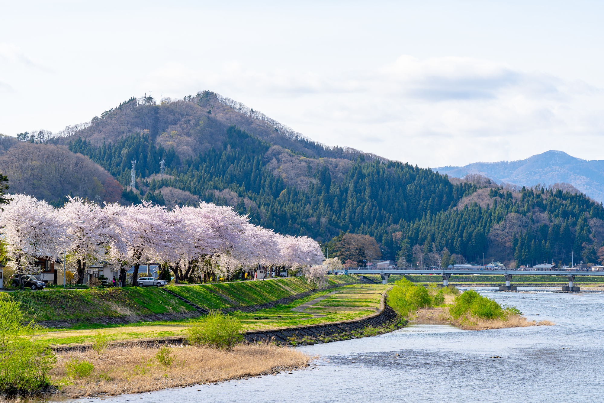 【樺細工】山桜の樹皮でつくられた、堅牢で味わい深い工芸品【秋田県 仙北市】